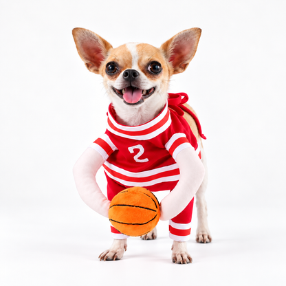 Basketball-Kostüm für Haustiere